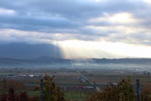 今朝の風景