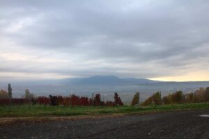 今朝の風景