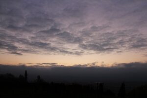 今朝の風景