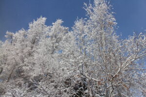 雪景色