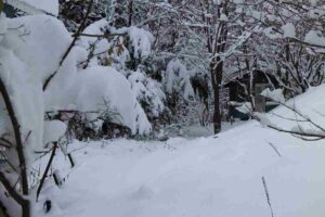 雪景色