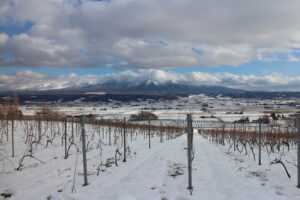 我が家からの風景