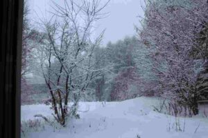 雪景色