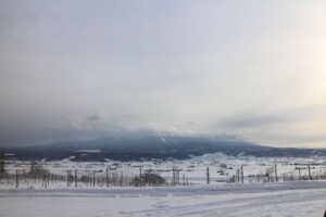 今朝の風景