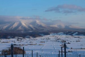 今日の風景