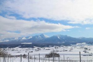 今日の風景