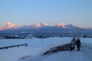 夕景、さんぽ