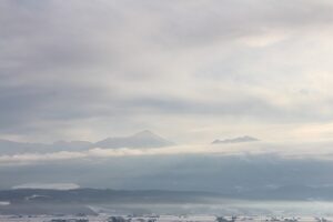 今朝の風景