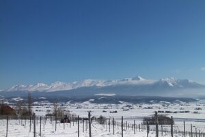 今日の風景