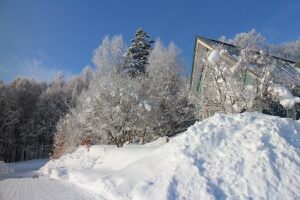 今朝の風景