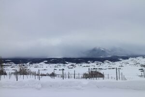 今朝の風景