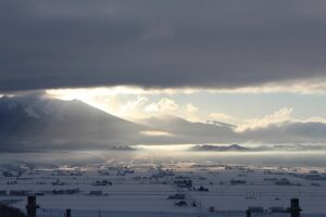 今朝の風景