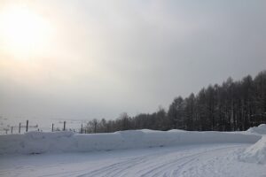 今朝の風景