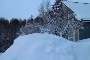 今朝の風景