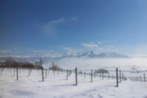 今朝の風景