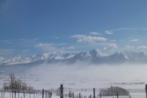 今朝の風景