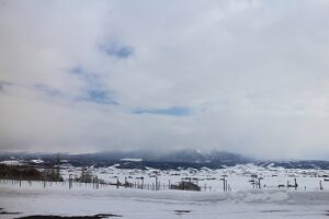 今日の風景