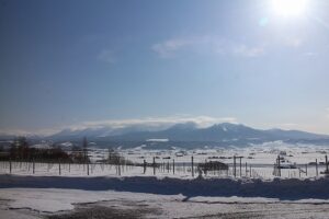 今朝の風景