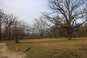 公園