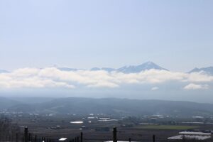 今朝の風景
