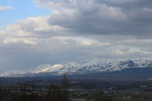 今朝の風景