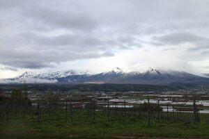今日の風景