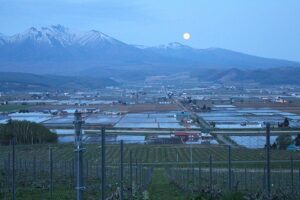昨夜の夜