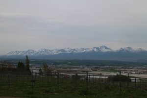 今日の風景