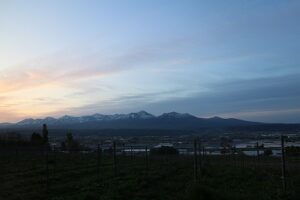 今朝の風景