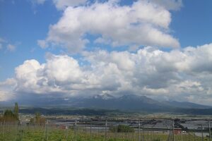 今日の風景