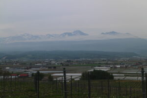 今朝の風景