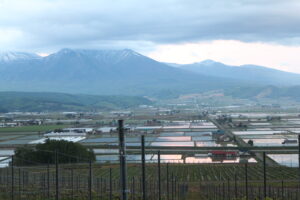 夕景