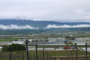 今朝の風景