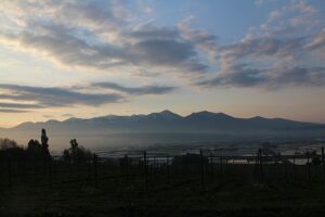 今朝の風景