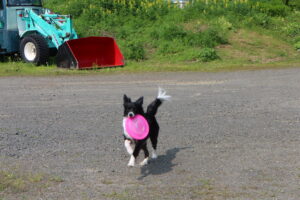 クロエ