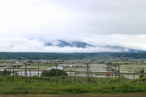今朝の風景