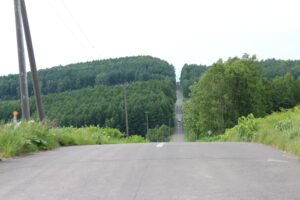 道