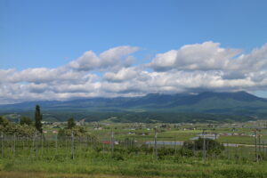 今朝の風景