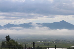 今朝の風景