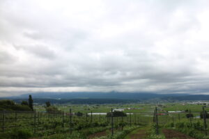 今朝の風景