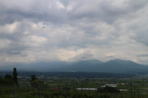 今朝の風景