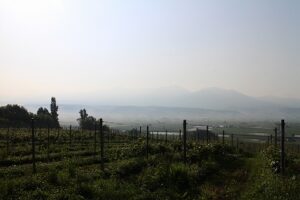 今朝の風景