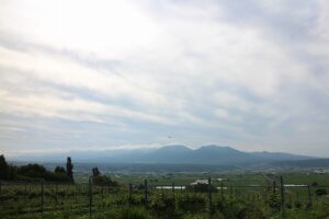 今朝の風景