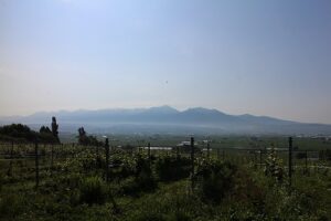今朝の風景