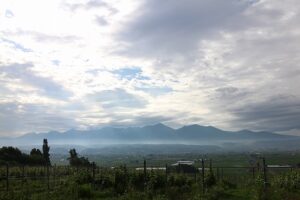 今朝の風景