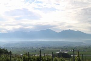 今朝の風景