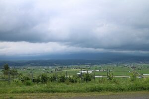 今日の風景