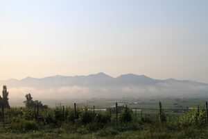 今朝の風景