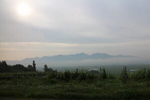 今朝の風景
