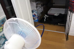 クロエ